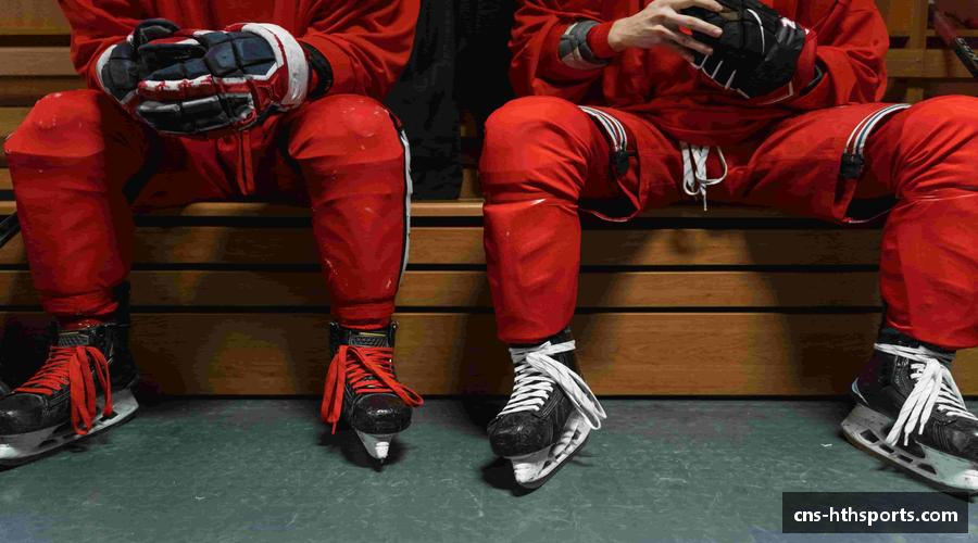 体验华体会(hth)首页